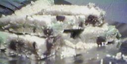 [chocolate-mint sticks]