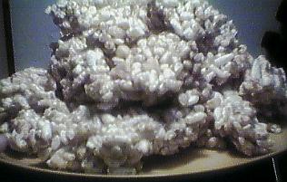 [rice and peanut crispy bars]